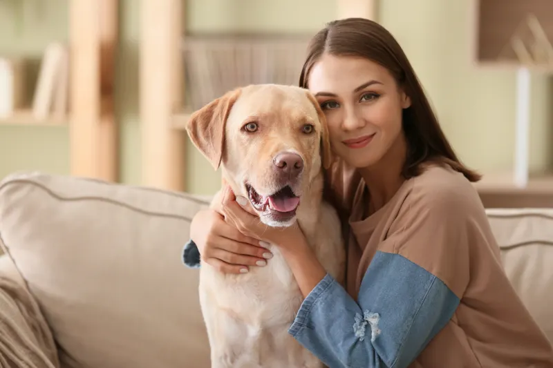 How much to pay a dog sitter: a sitter hugging a friendly Labrador at home
